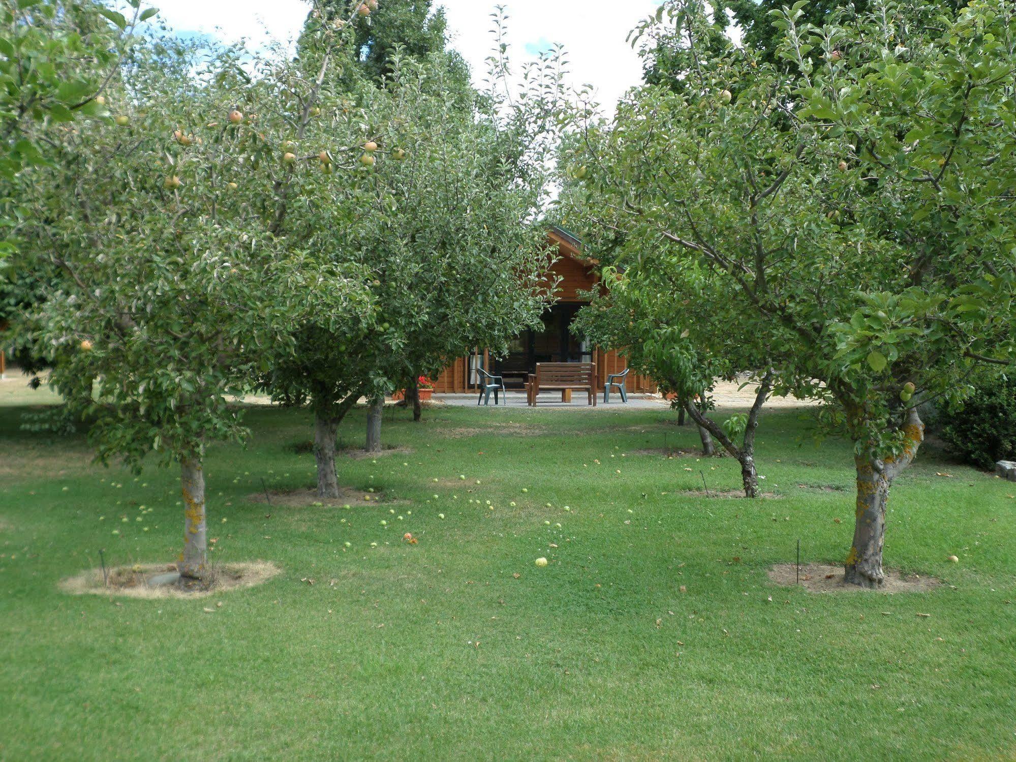 Central Chalets Ltd Alexandra Bagian luar foto